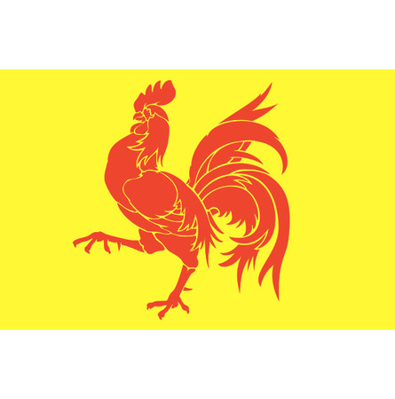 Drapeau de la Région Wallone