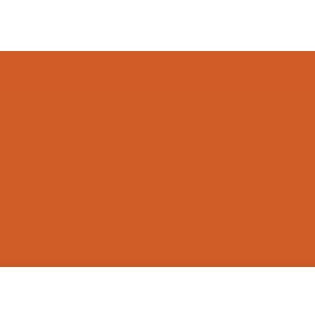 Serviette Orange (SEL)